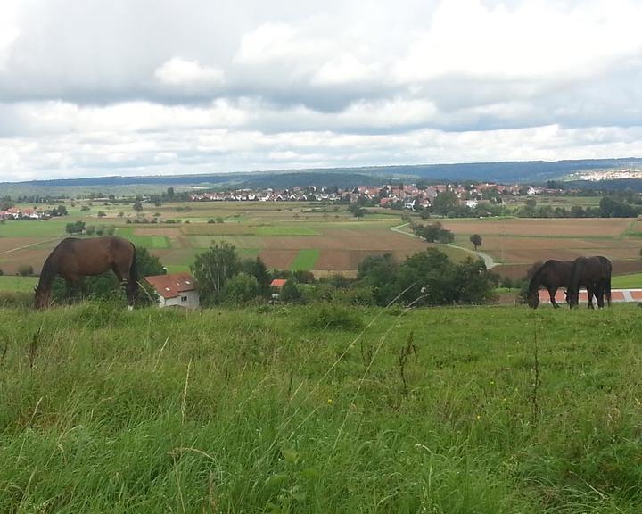 Der Pappelgarten